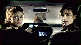 Deer Jumps Through Windshield