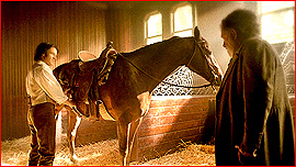 Stables